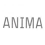 Anima