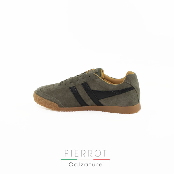 E24---gola---HARRIER GLMCMA 192 NA KAKI_3_P.JPG