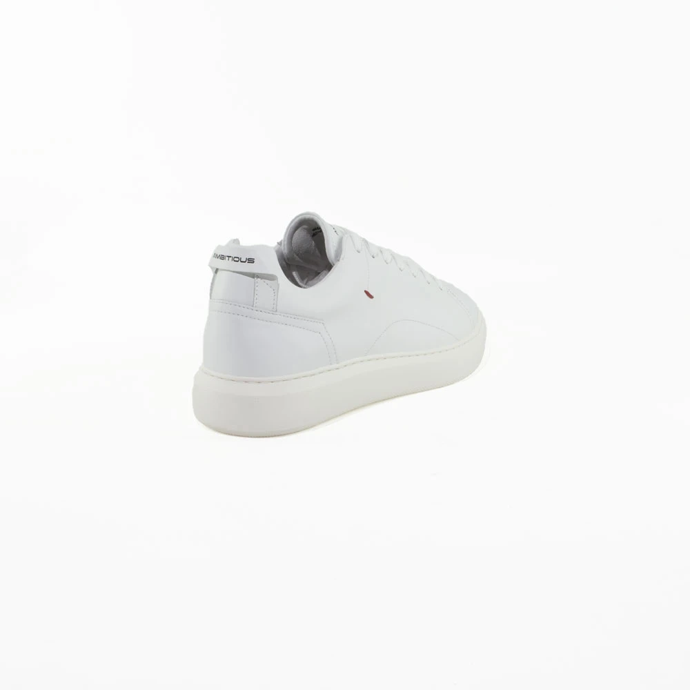 E25---ambitious---10443A 4838 BIANCO_2_P.JPG E25---ambitious---10443A 4838 BIANCO_2_P.JPG