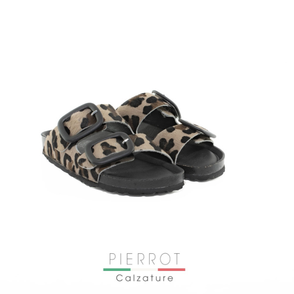 E25---bio lab---BOTTOM LEOPARDOLEOPARDO.JPG