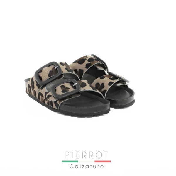 E25---bio lab---BOTTOM LEOPARDOLEOPARDO.JPG