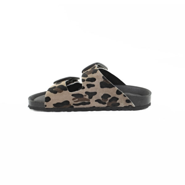 E25---bio lab---BOTTOM LEOPARDOLEOPARDO_3_P.JPG