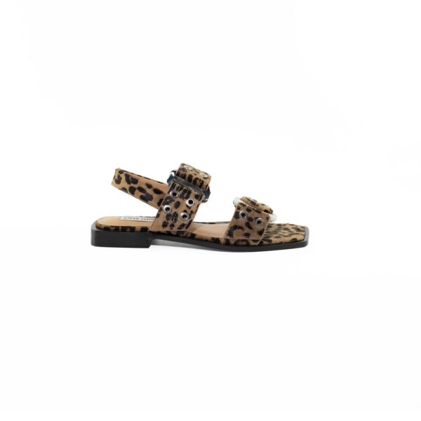 E25---steve madden---SARIA L LEOPARDLEOPARD_1_P.JPG