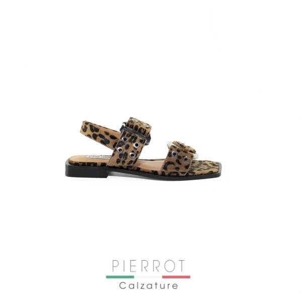 E25---steve madden---SARIA L LEOPARDLEOPARD_1_P.JPG