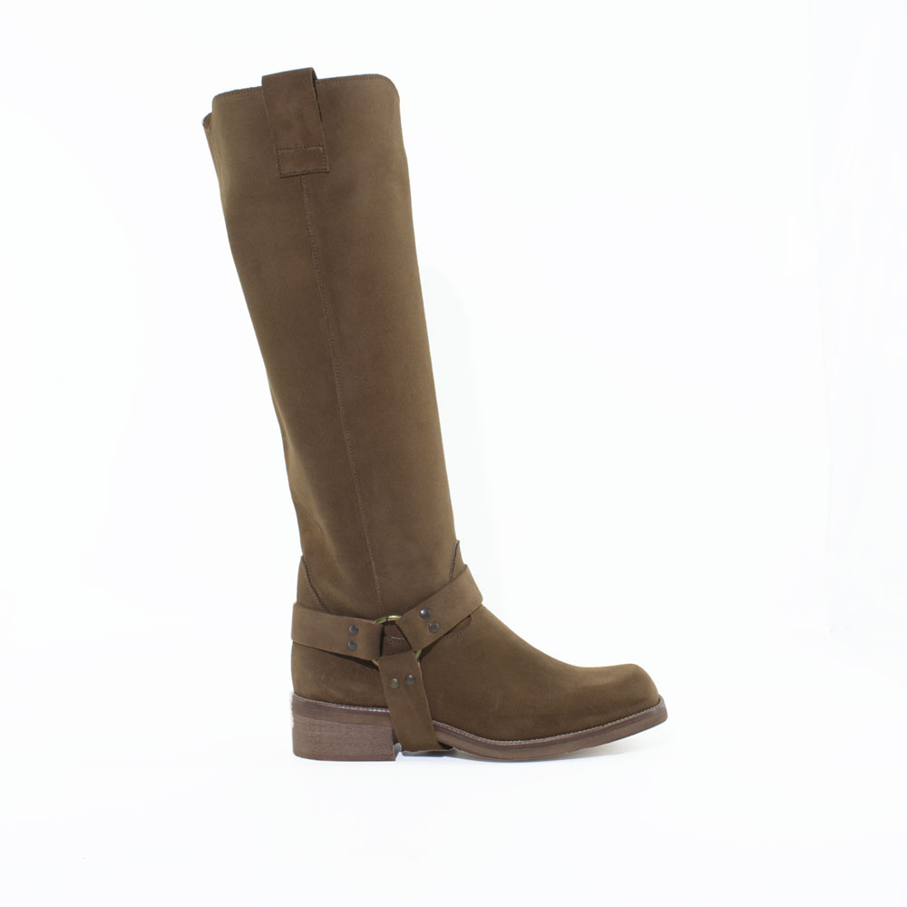 E26---pierrot---4612 CUOIOCUOIO_1_P.JPG E26---pierrot---4612 CUOIOCUOIO_1_P.JPG