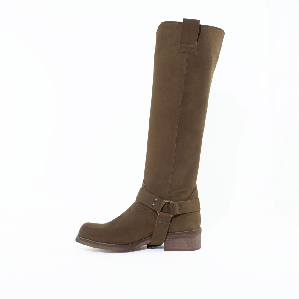 E26---pierrot---4612 CUOIOCUOIO_2_P.JPG E26---pierrot---4612 CUOIOCUOIO_2_P.JPG